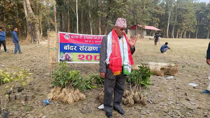 इटहरीमा बाँदर संरक्षण अभियान, बाँदर निर्यात र बन्ध्याकरण गर्न सांसद आचार्यको सुझाव