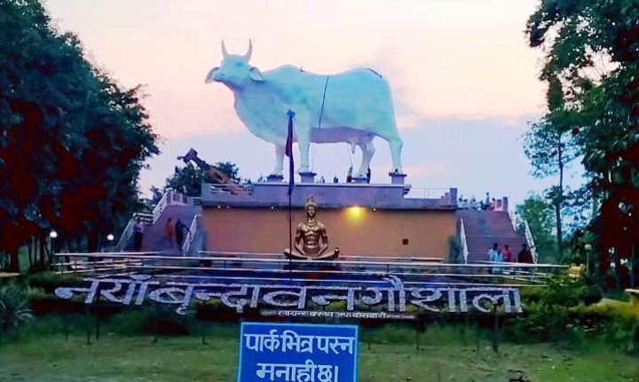 सुन्दरहरैंचास्थित नयाँ वृन्दावन गौशालामा गाईको विशाल प्रतिमा स्थापित