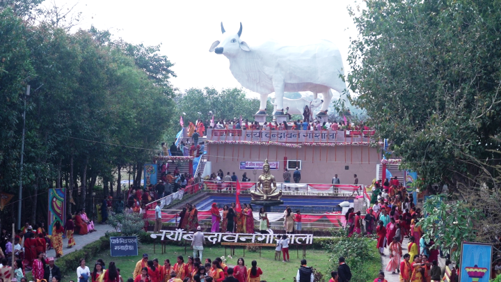 नयाँ वृन्दावन गौशालामा गाईको विश्वकै अग्लो प्रतिमा अनावरण र होली मिलन महोत्सव