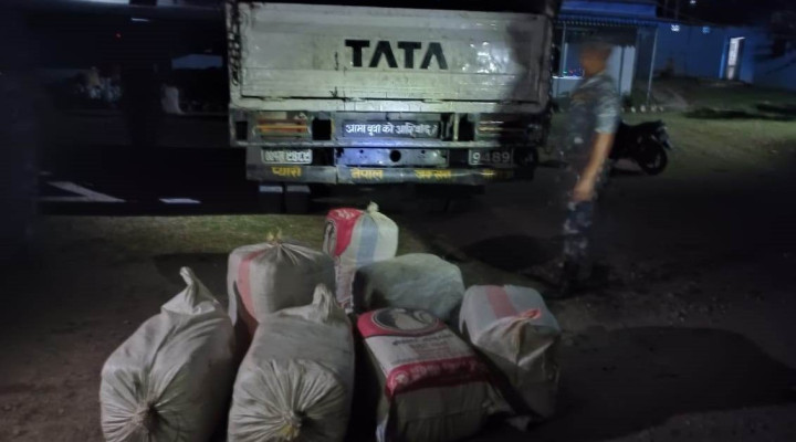 धरानबाट २ सय २७ केजी गाँजासहित दुई जना पक्राउ