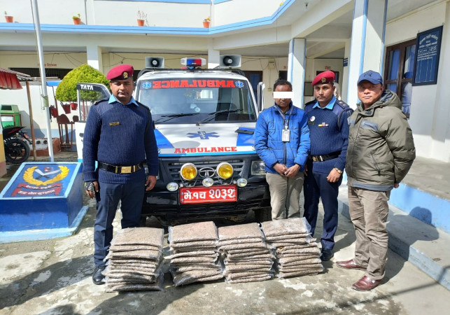 एम्बुलेन्समा गाँजा ओसारपसार गर्ने एकजना पक्राउ