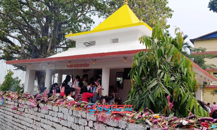कचना मन्दिर : जहाँ शरीरमा आएको मुसा निको पार्न भन्टाको भार चढाउने भाकल गरिन्छ