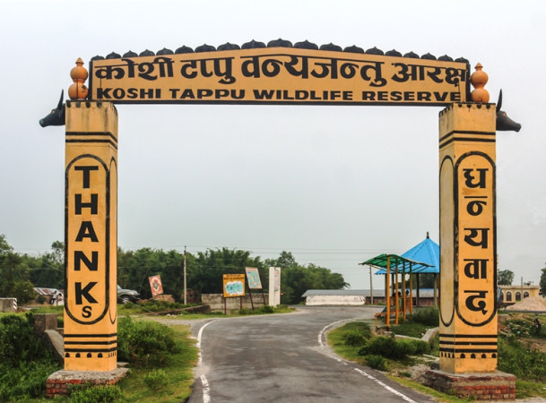 कोशीटप्पुका वन्यजन्तुको आक्रमणबाट हुने क्षतीमा राहत रकम दोब्बर बनाइयो