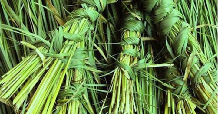 आज कुशे औँसी, पितृ सम्मान दिवस