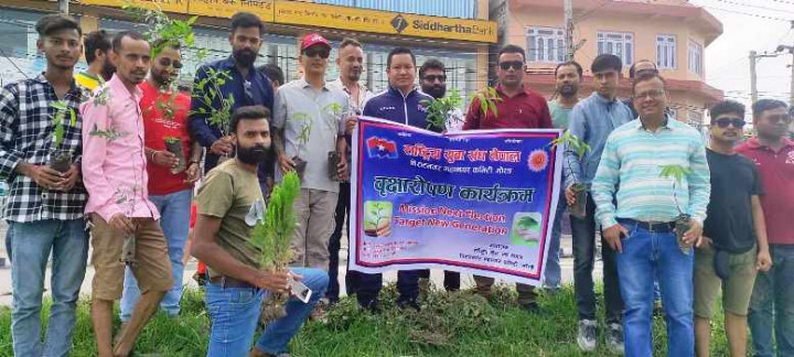 राष्ट्रिय युवा संघ नेपाल बिराटनगरद्वारा वृक्षरोपण सम्पन्न
