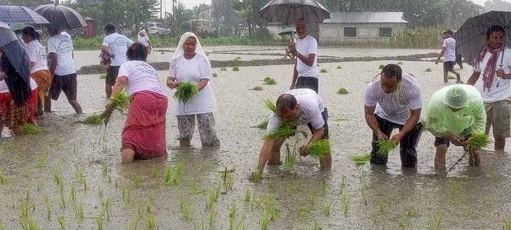 मधेस प्रदेशमा ६० प्रतिशत भुभागमा मात्र रोपाई, धान उत्पादन घट्ने पक्का
