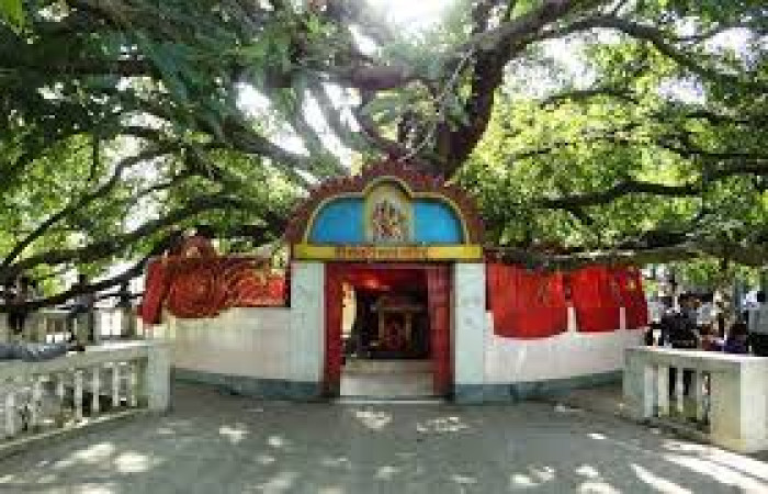 रंगेलीको संसारी माई मन्दिरमा चोरी